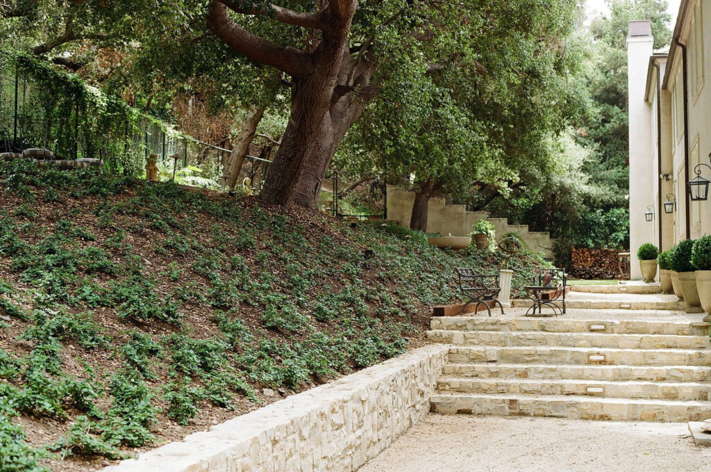 Trees and Patio in Evans Residence by Sow Home