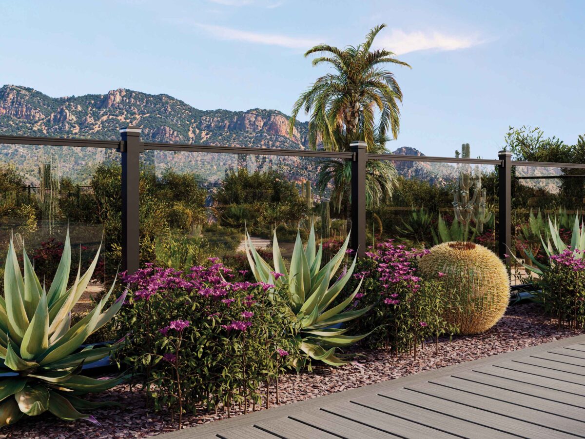 Trex Signature Decking in Whidbey