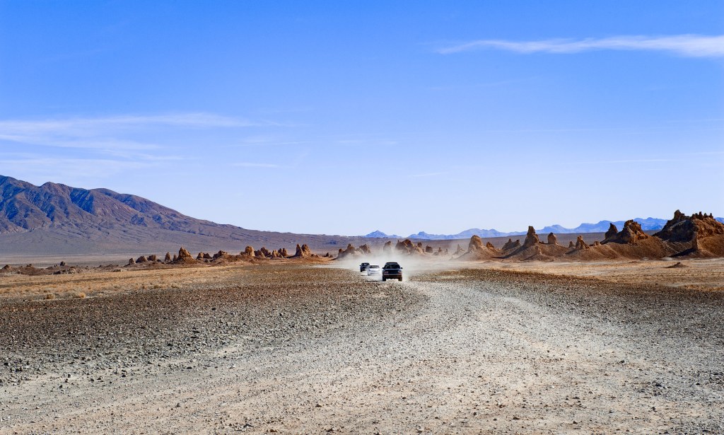 6 Environmental Books That Will Inspire Your Inner Conservationist