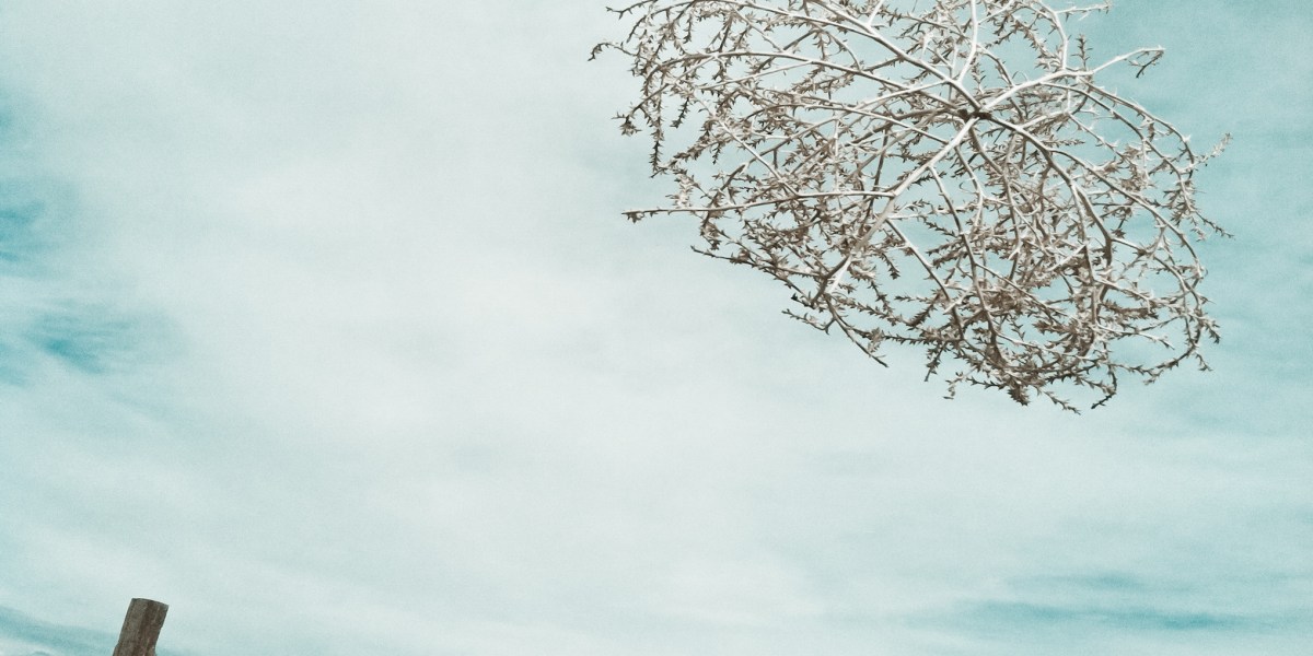 Wildfires, Earthquakes, Mudslides, and … Tumbleweeds? These 30-Foot Monsters Are Coming for Your Car