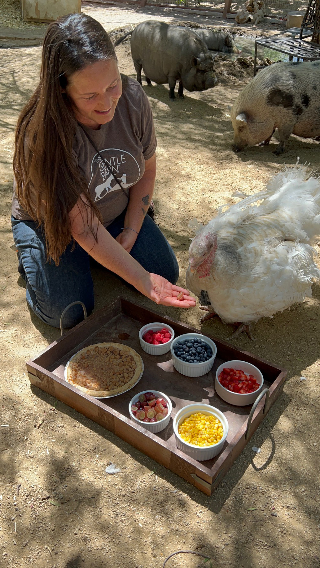 Feeding a Turkey