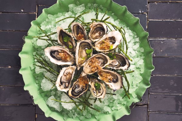 Meet the Chef Reviving Centuries-Old Indigenous Recipes for Today’s Table
