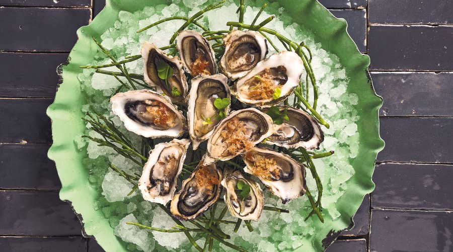 Turtle Island West-Coast Oysters