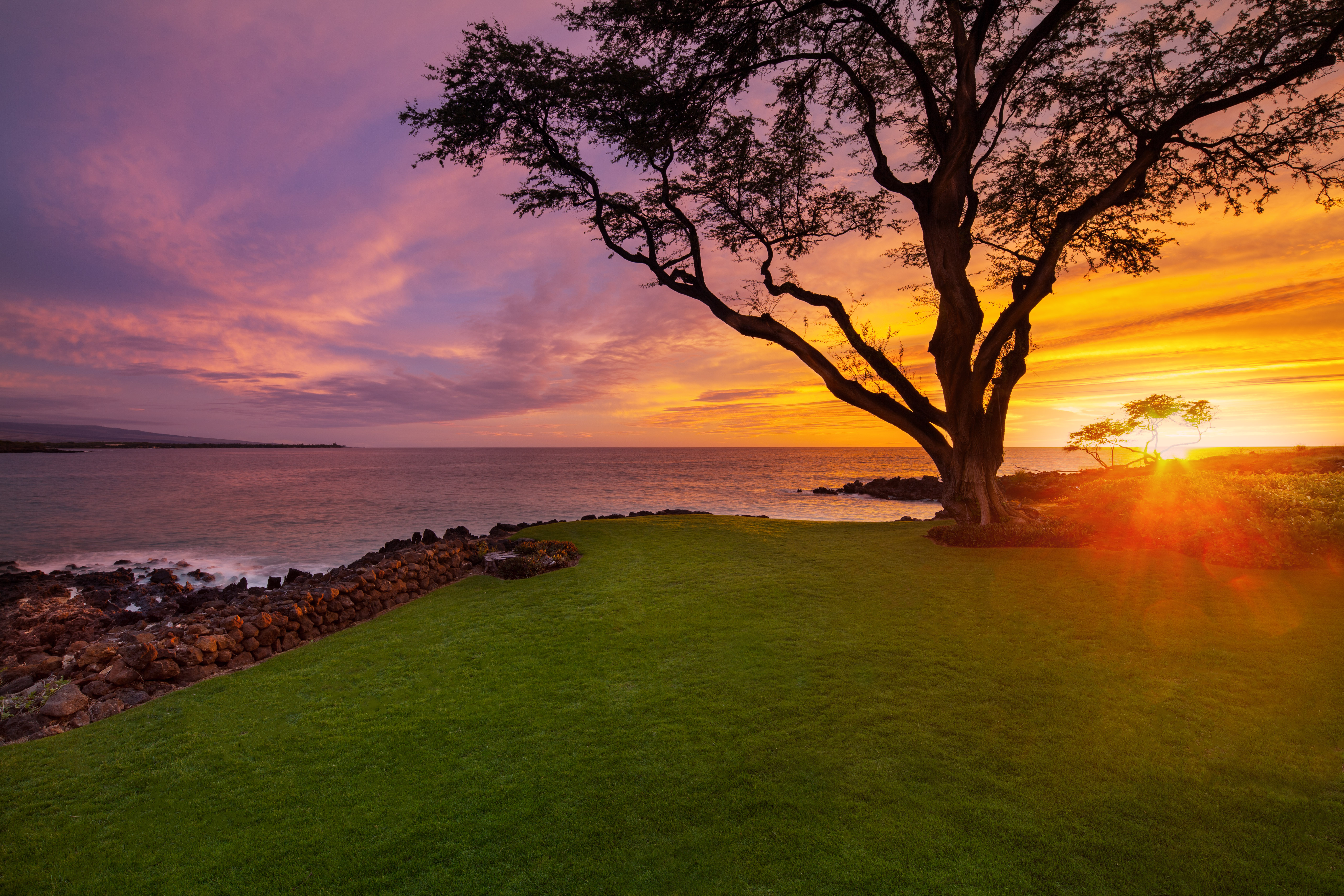 turtle-point-sunset