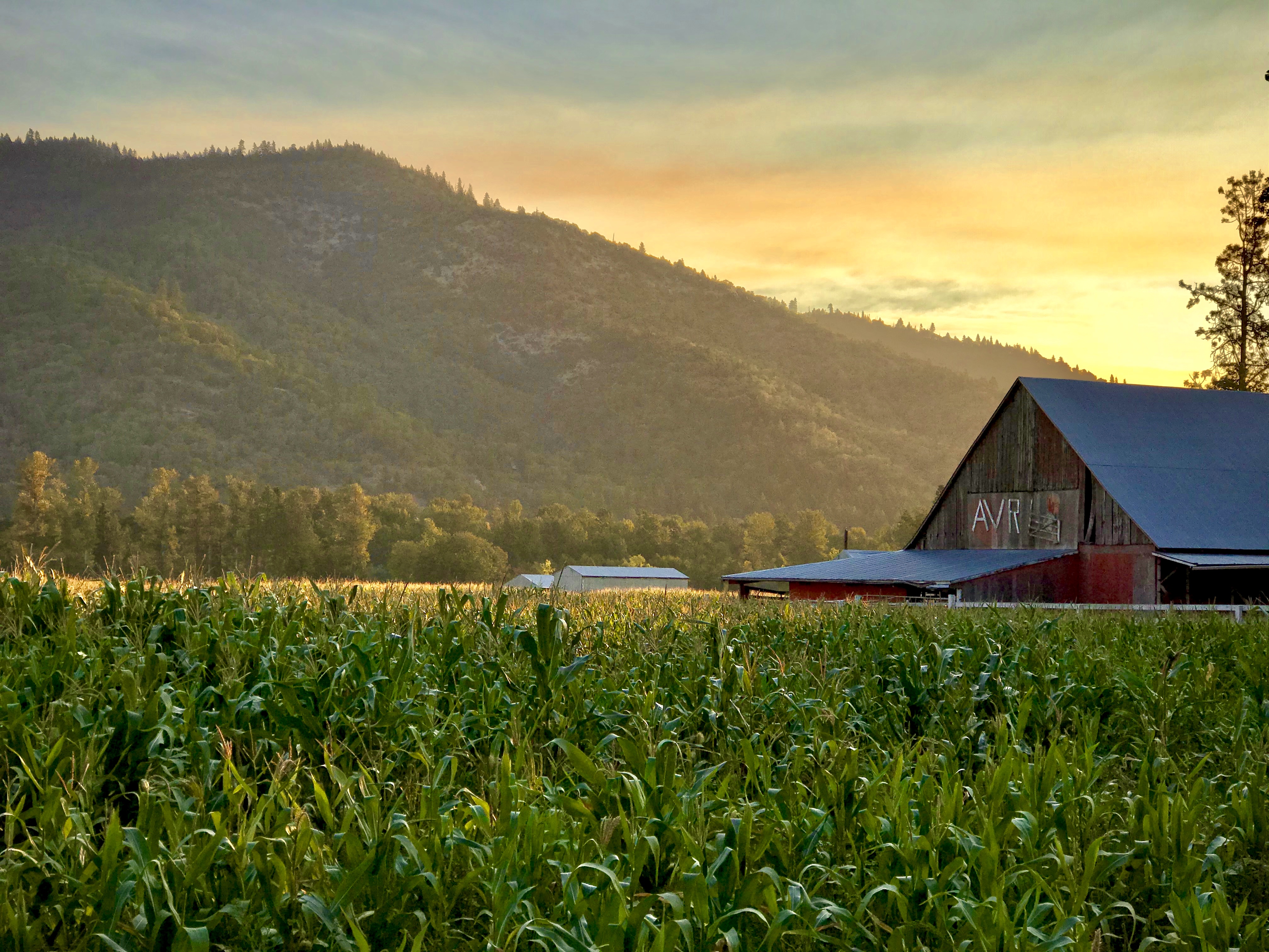 applegate-valley