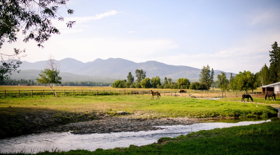 under-the-big-sky-music-and-arts-whitefish-mt-jul-13-14