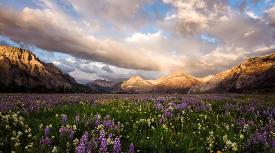 waterton-glacier-international-peace-park-montana-and-alberta-canada