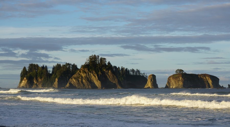 olympic-national-park-washington
