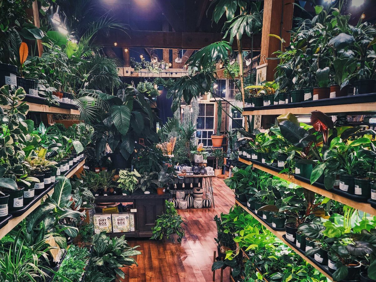 Aisle of Plants