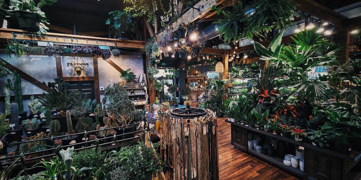 Interior of Somewhere Thats Green