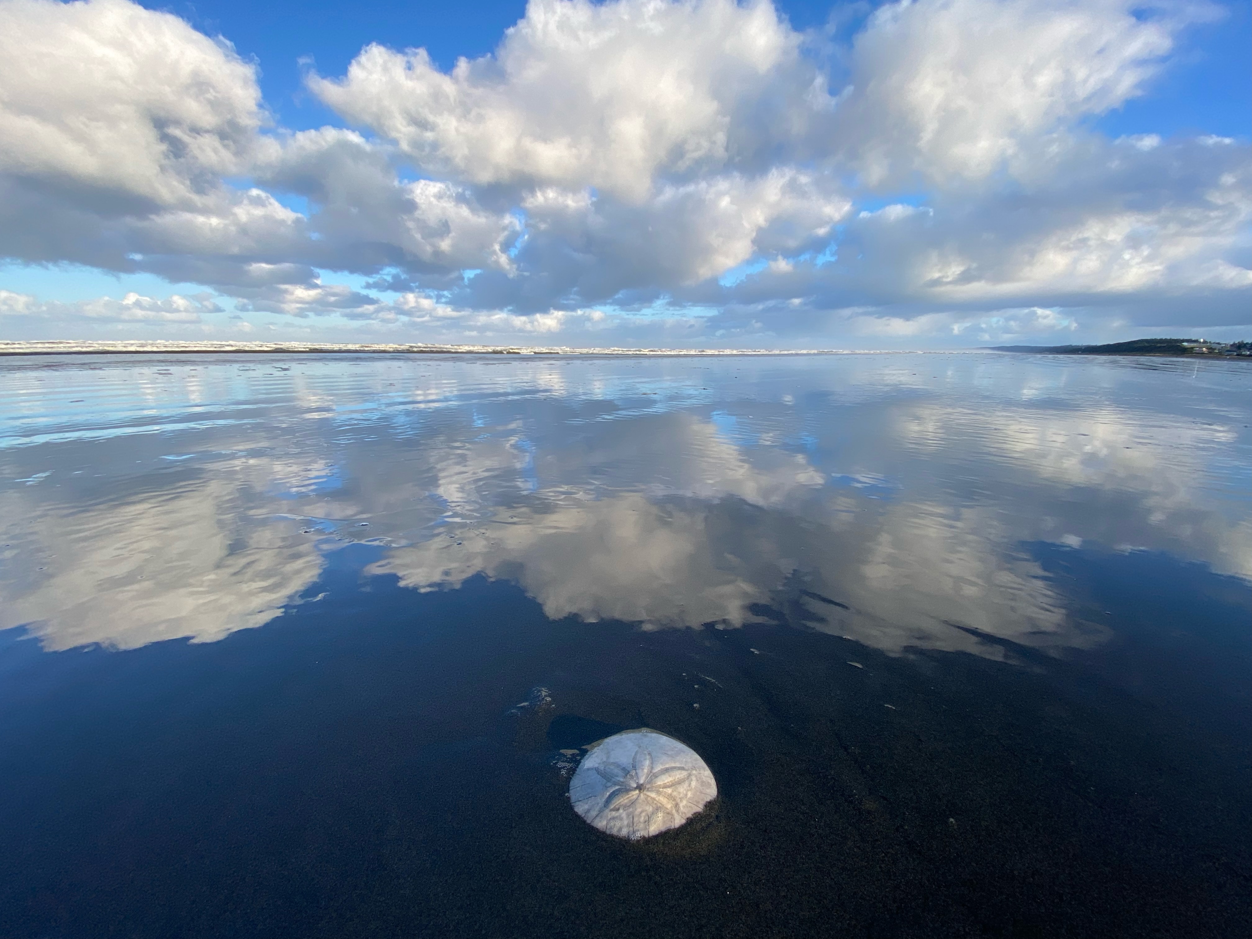 the-beach-at-seabrook-wa