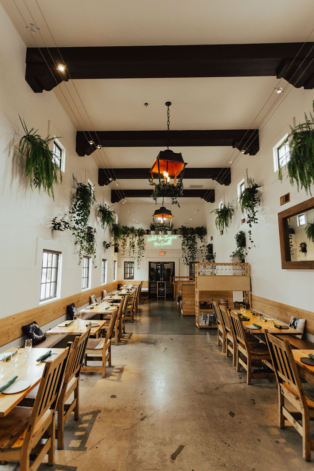 the-alchemists-garden