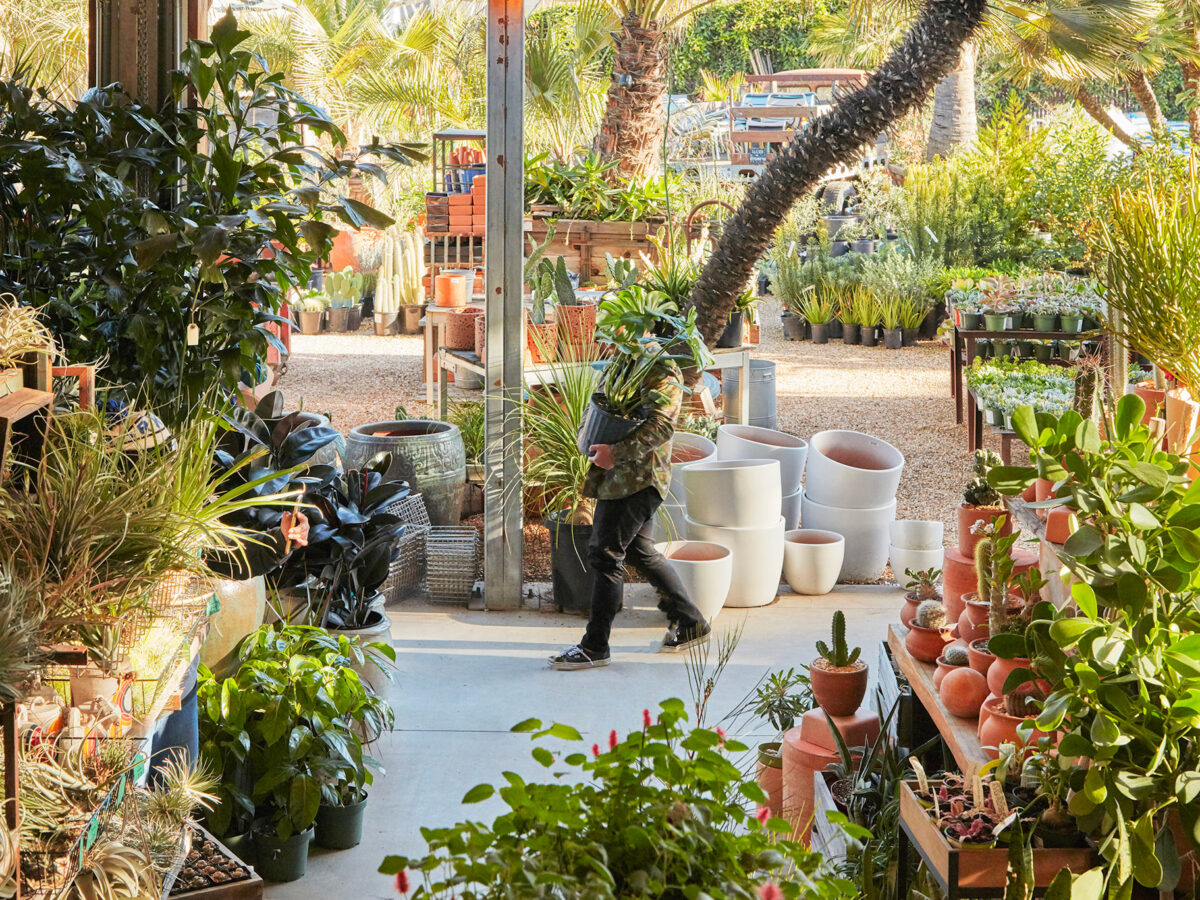 Move Your Plants Around