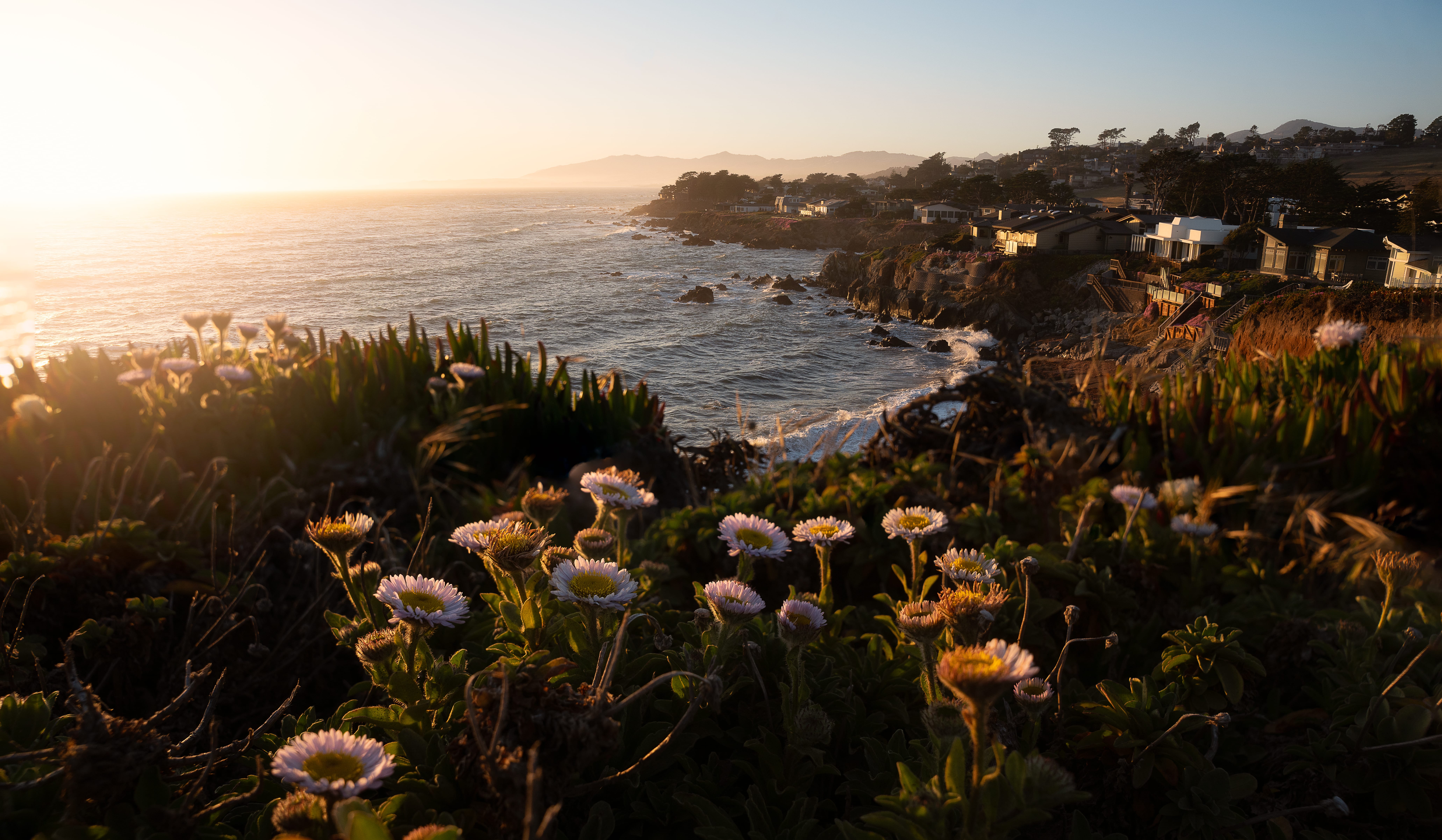 cambria-coast
