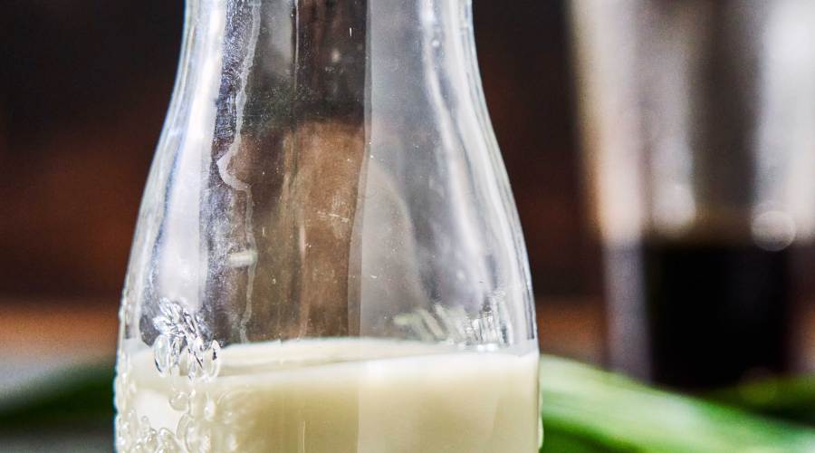 Phin Bar Condensed Milk