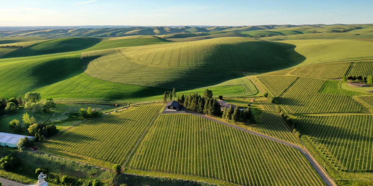 In Washington’s Walla Walla Valley, Pair Wine Tasting with Food Trucks