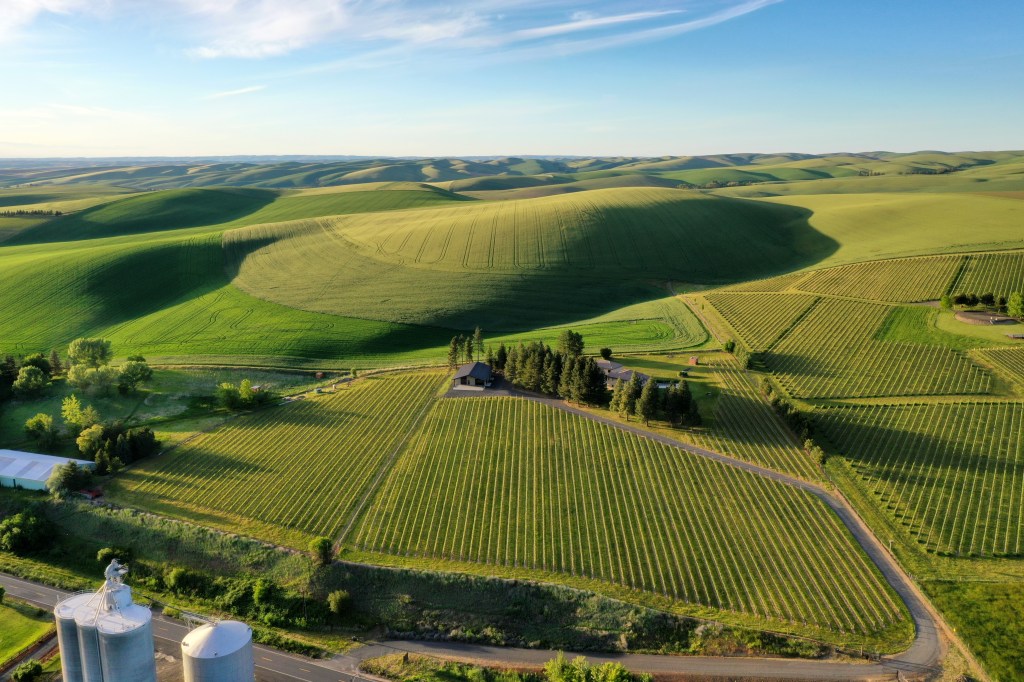 In Washington’s Walla Walla Valley, Pair Wine Tasting with Food Trucks