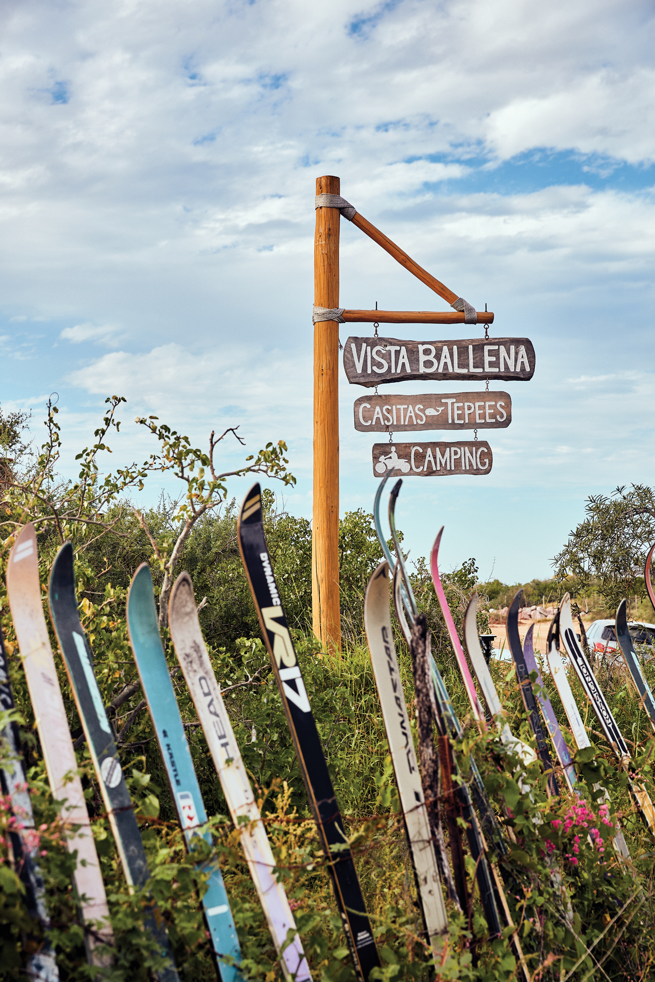 Visit Ballena Sign Cabo Pulmo Camping Baja