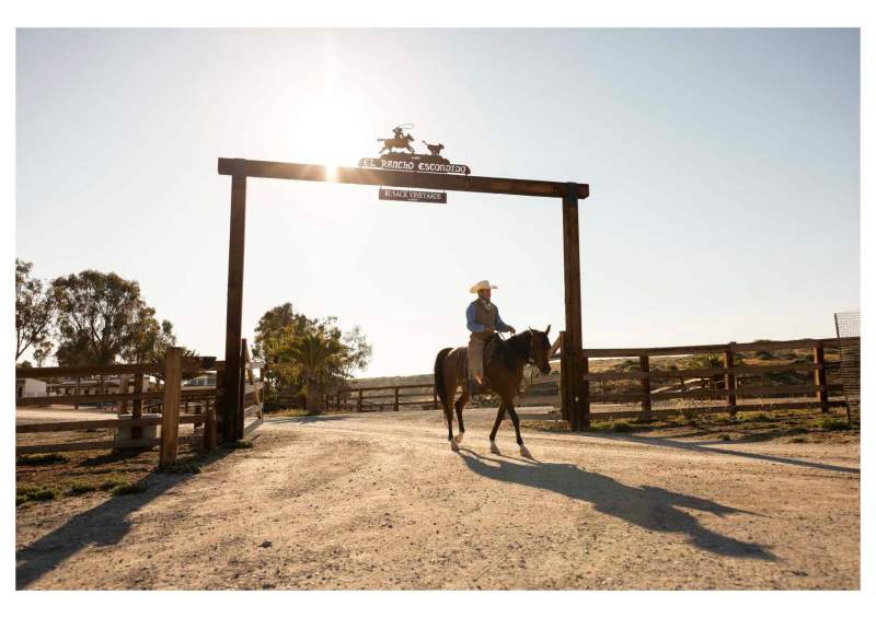 Catalina Island Company