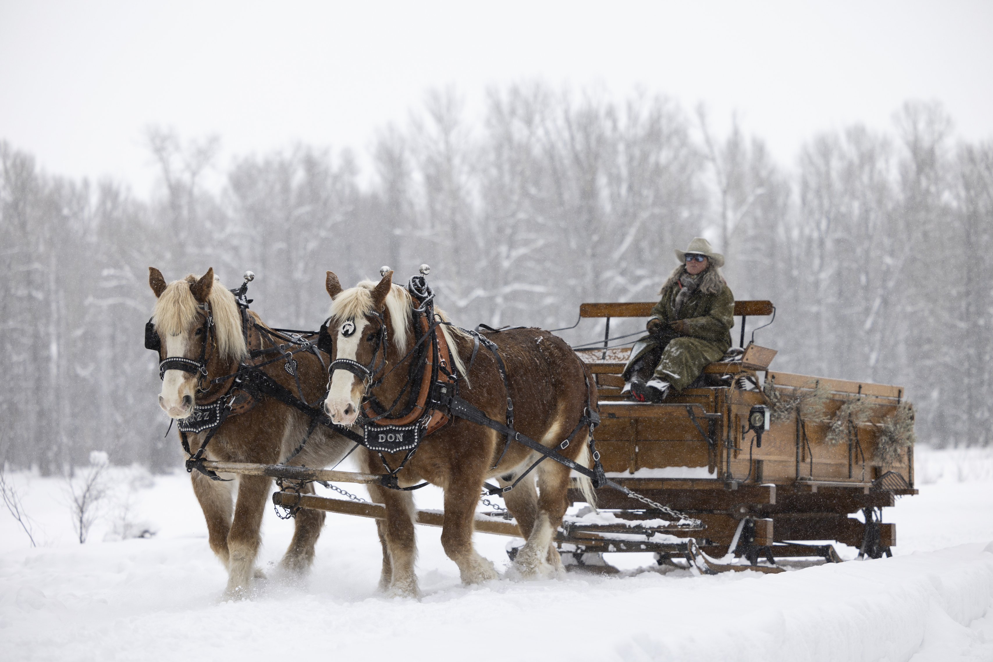 vintage-sleigh-ride