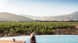 Woman in a pool overlooking the vineyards and hills in Baja, Mexico