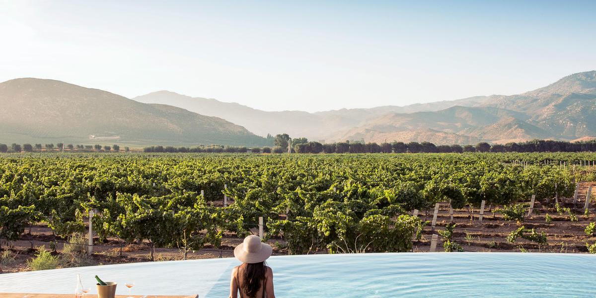 Woman in a pool overlooking the vineyards and hills in Baja, Mexico