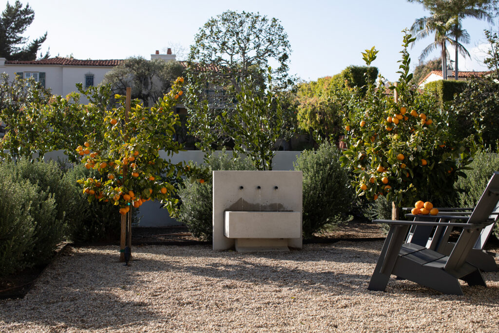 Water Feature Wild Canyon Landscapes
