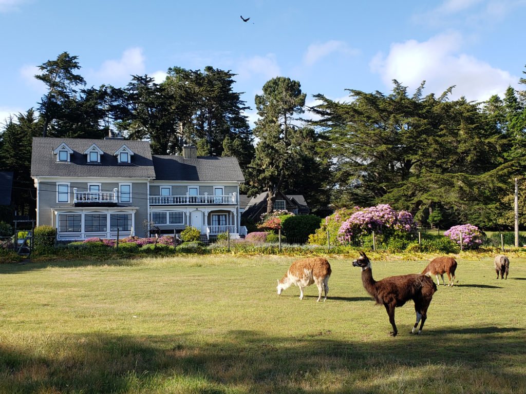 Glendeven Inn & Lodge exterior yard