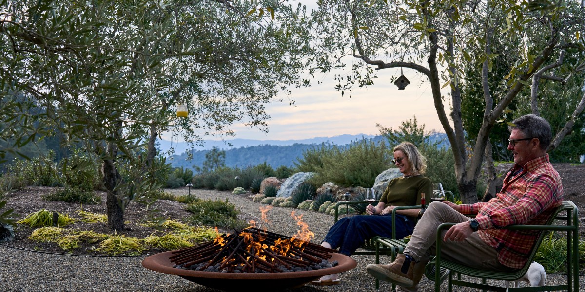 Golden hour at Green and Red Vineyards