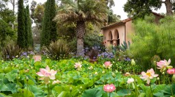 Lotusland botanic garden