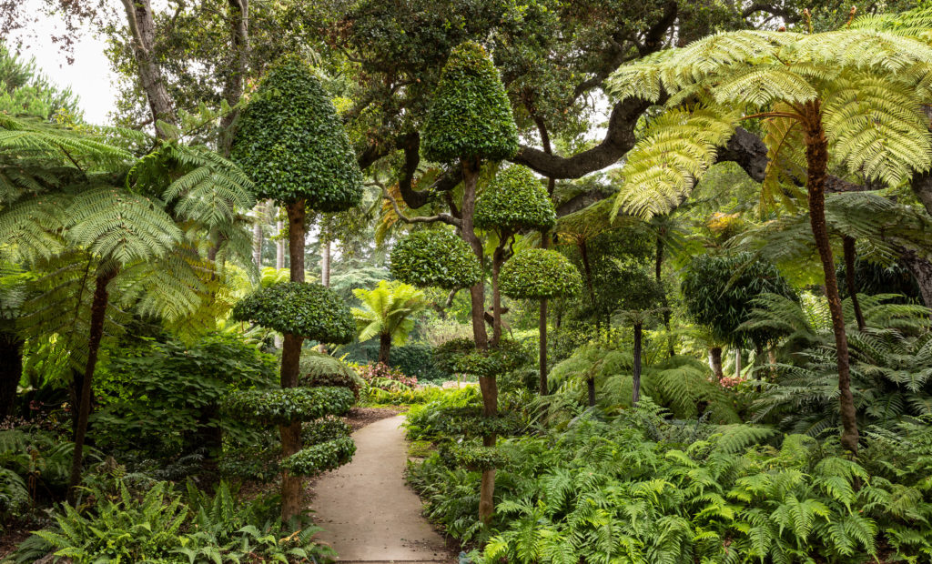 Lotusland botanic garden pathway