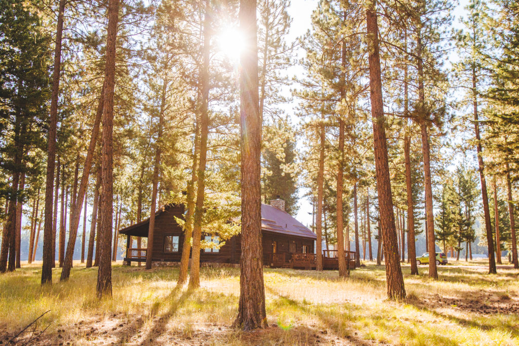 Resort at Paws Up exterior trees