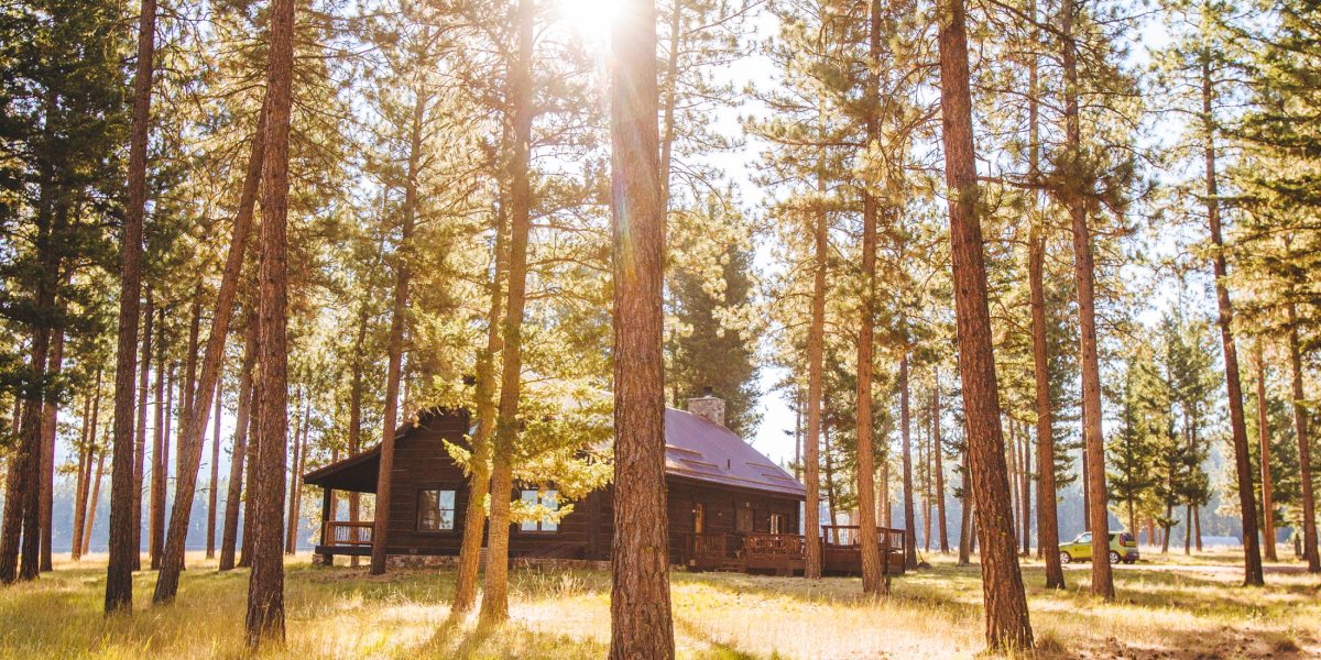 exterior trees surround a cabin with sun breaking through