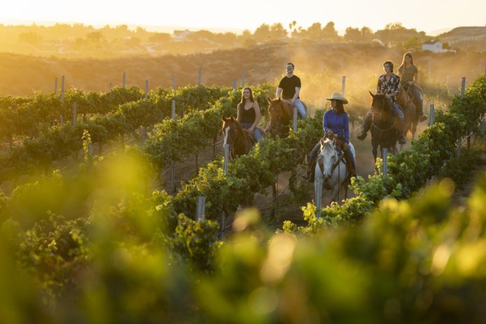 Temecula Horseback Riding
