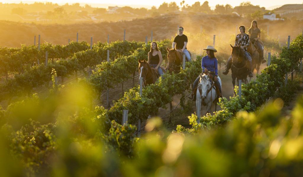 Temecula Horseback Riding