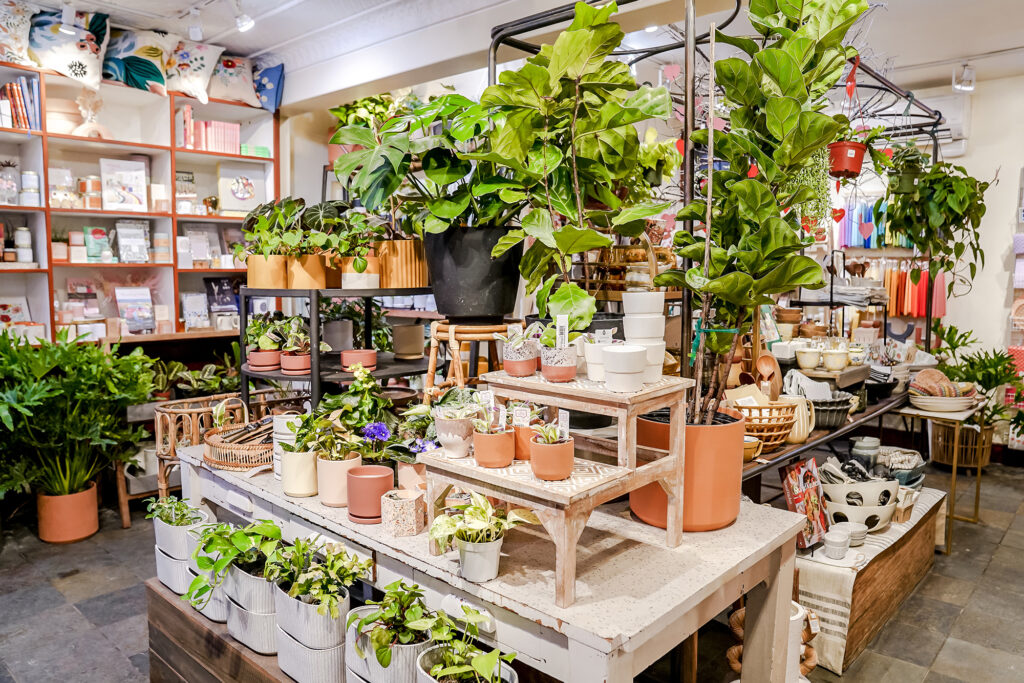 Mums Flowers in Whitefish