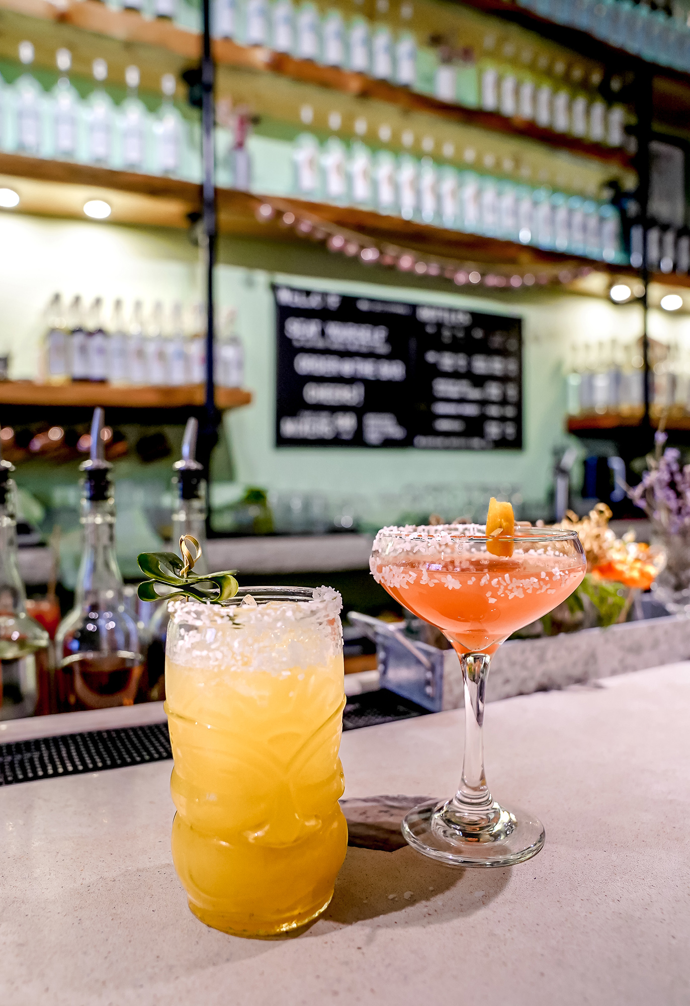 Spotted Bear Spirits in Whitefish