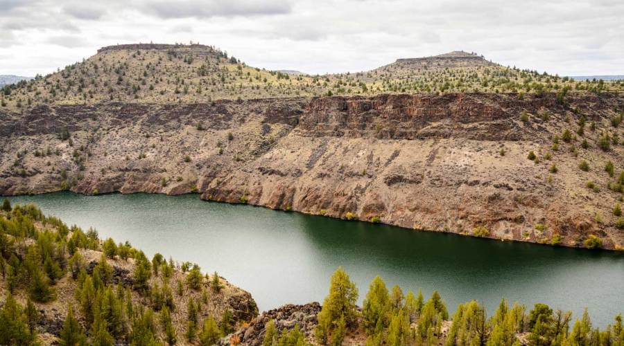 an-unexpected-meal-in-oregon