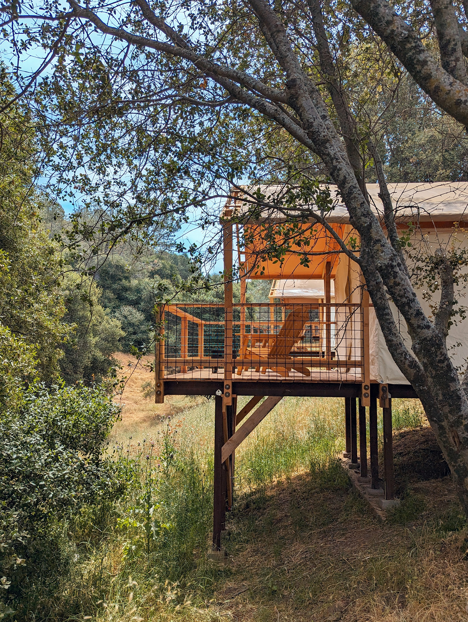 Wildhaven Yosemite Ravine Treehouse