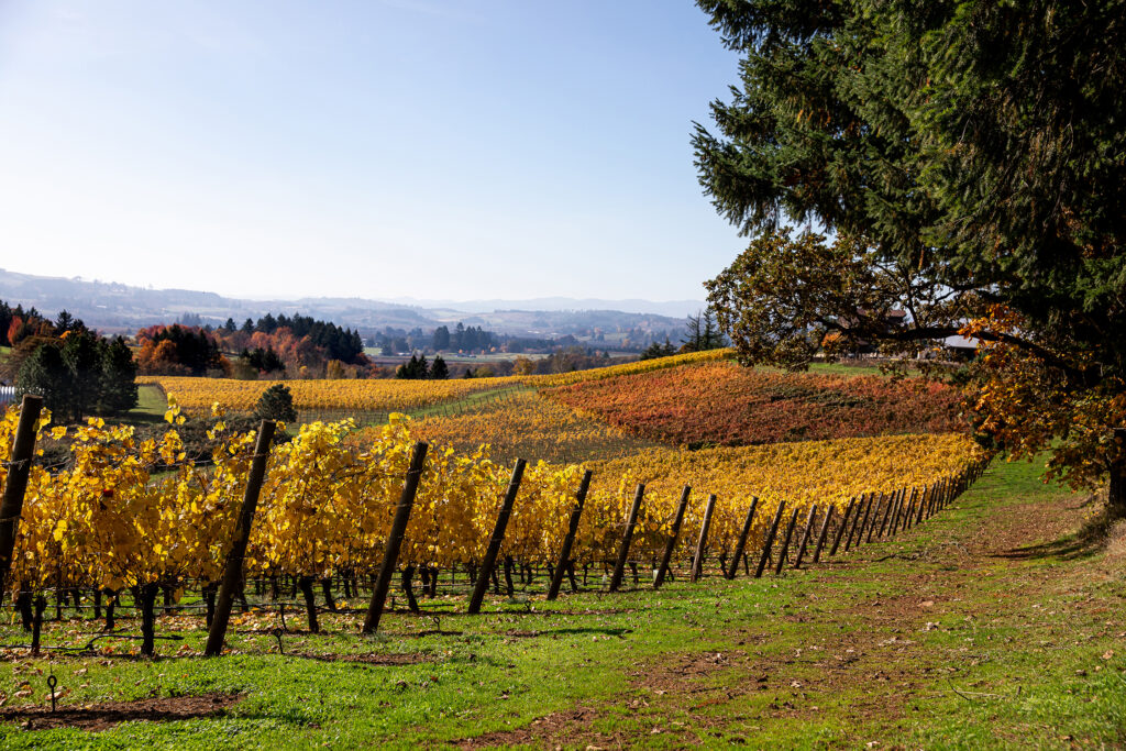 Willamette Valley Brickhouse Vineyards