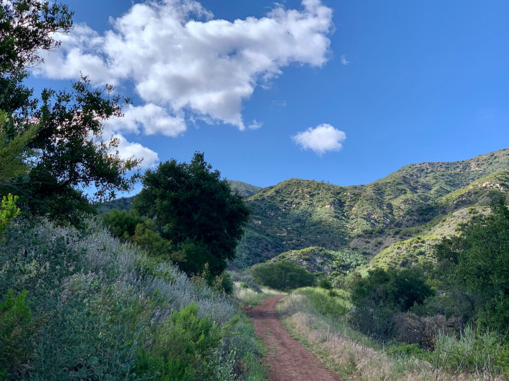 Wills Canyon Trail