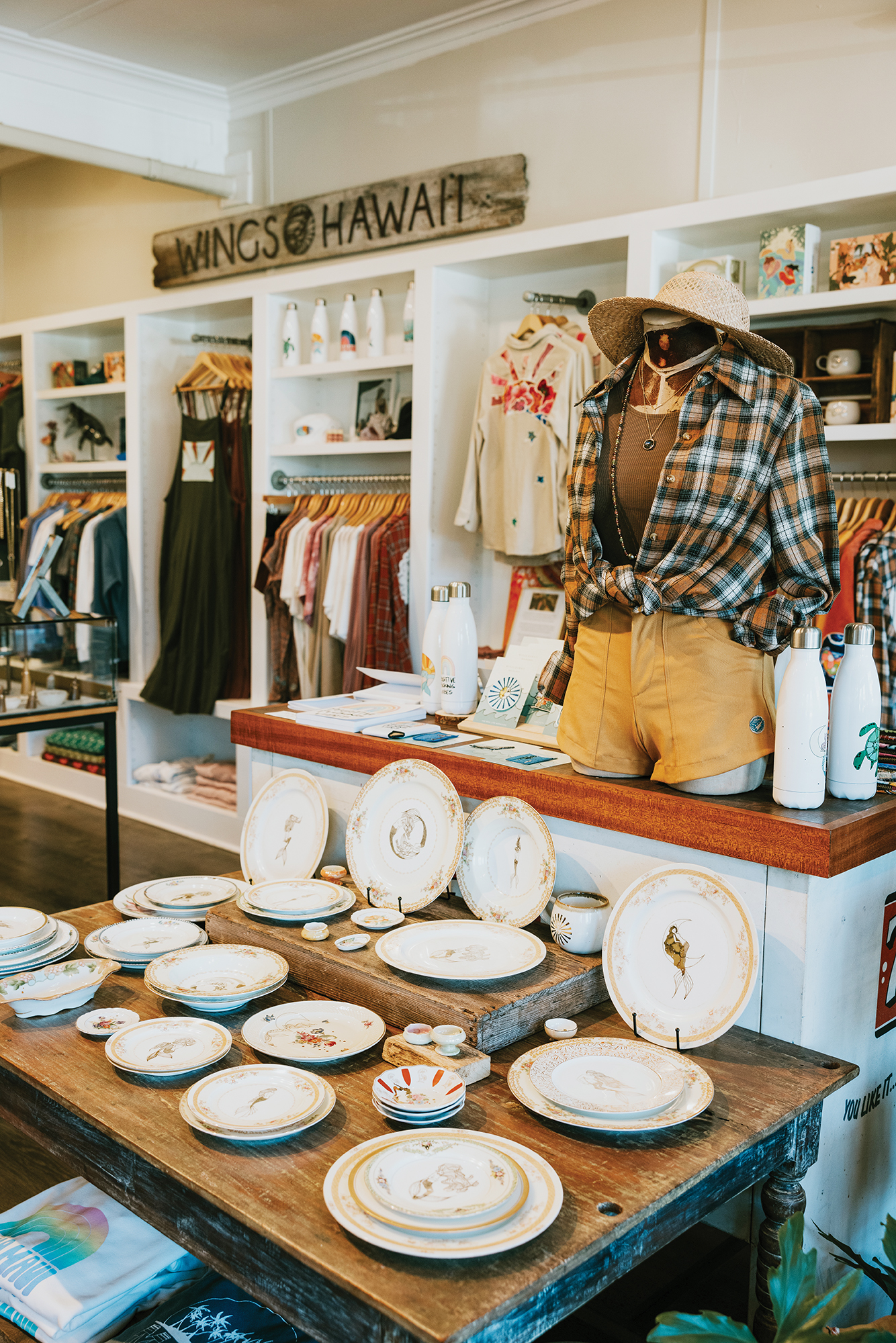 Wings Hawaii Interior