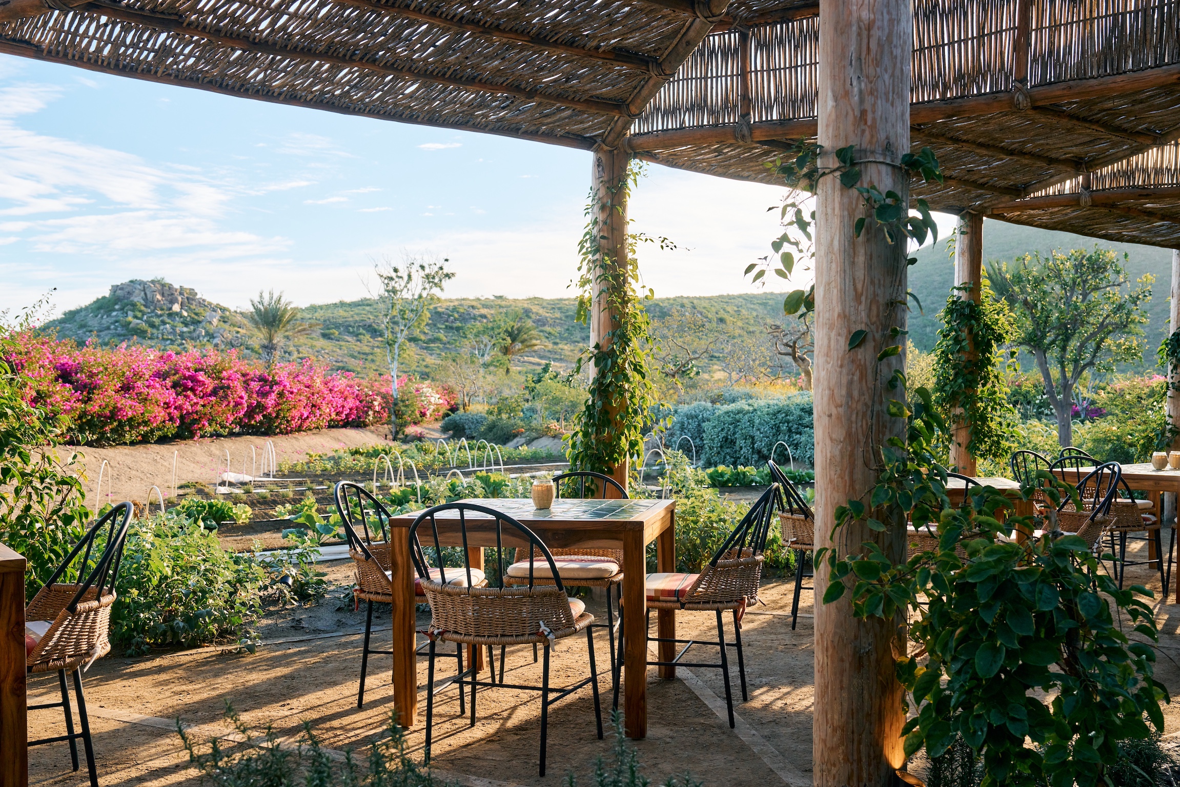 hotel-san-cristobals-al-fresco-restaurant-cosecha