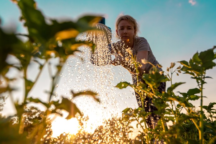 Woman Watering Plants