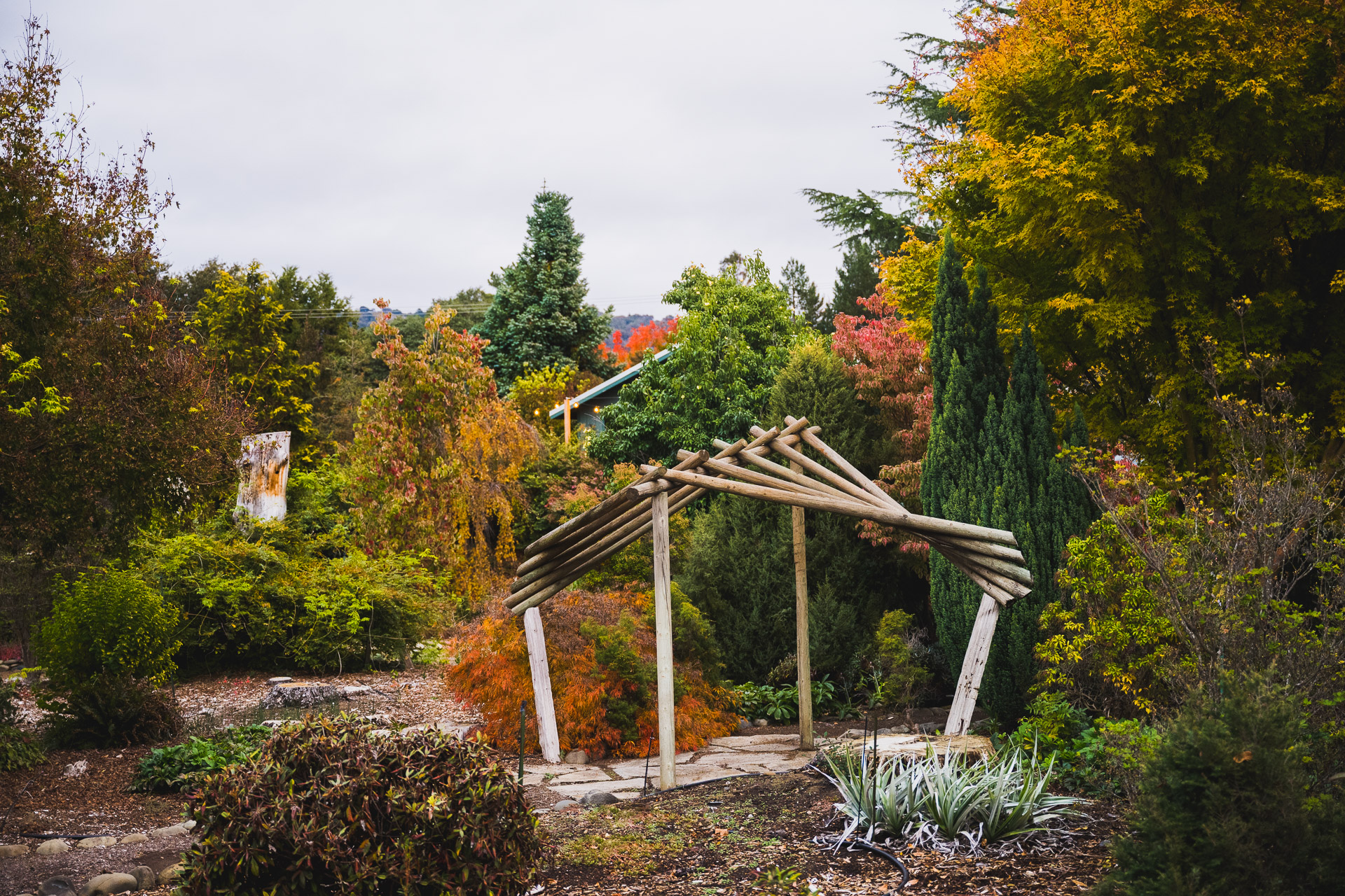 wood-structure_01