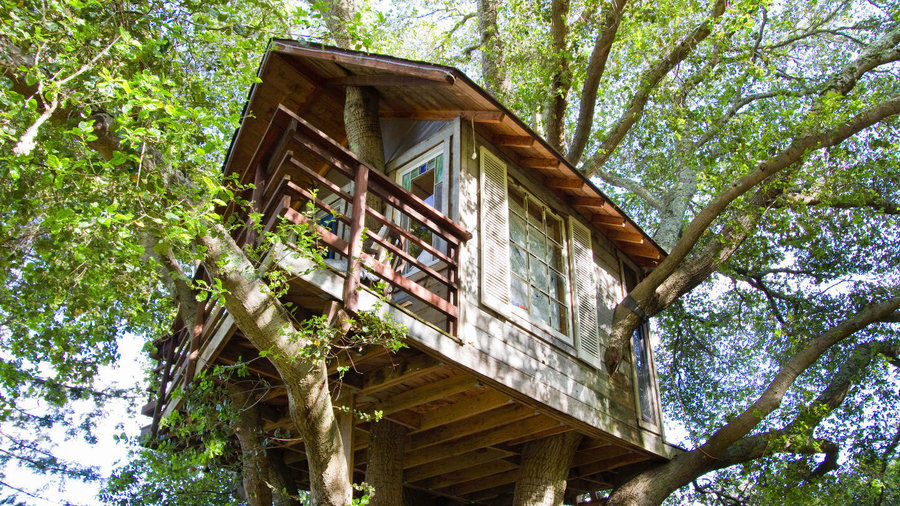 Treehouse