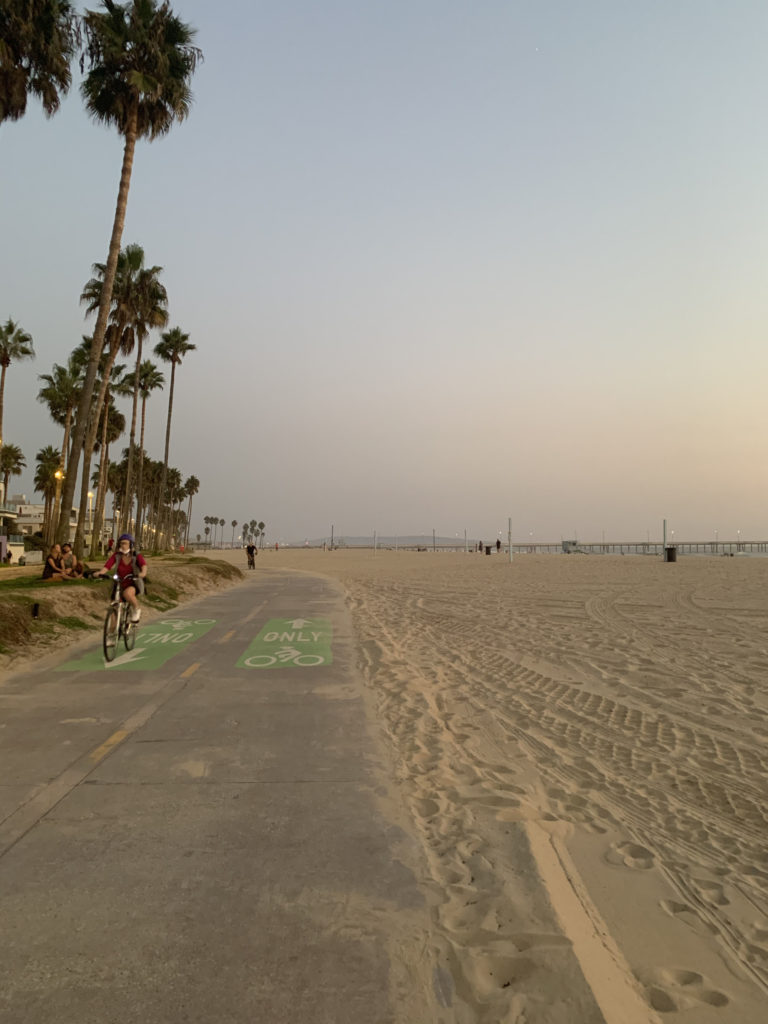Venice Beach
