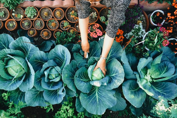 18 Thoughtful Gifts for the Garden-Obsessed