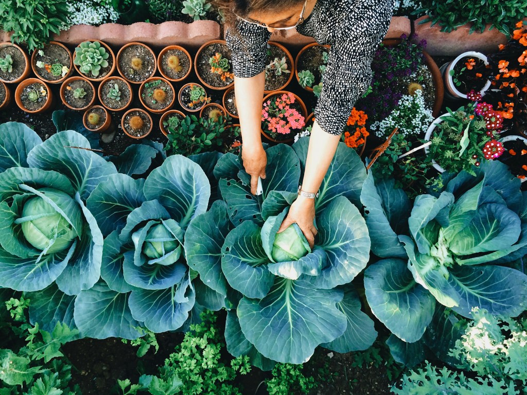 18 Thoughtful Gifts for the Garden-Obsessed