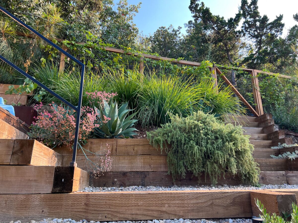 Garden with Terraced Steps